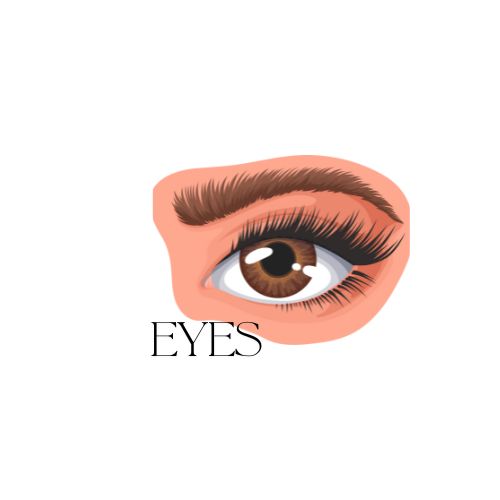 Eyes